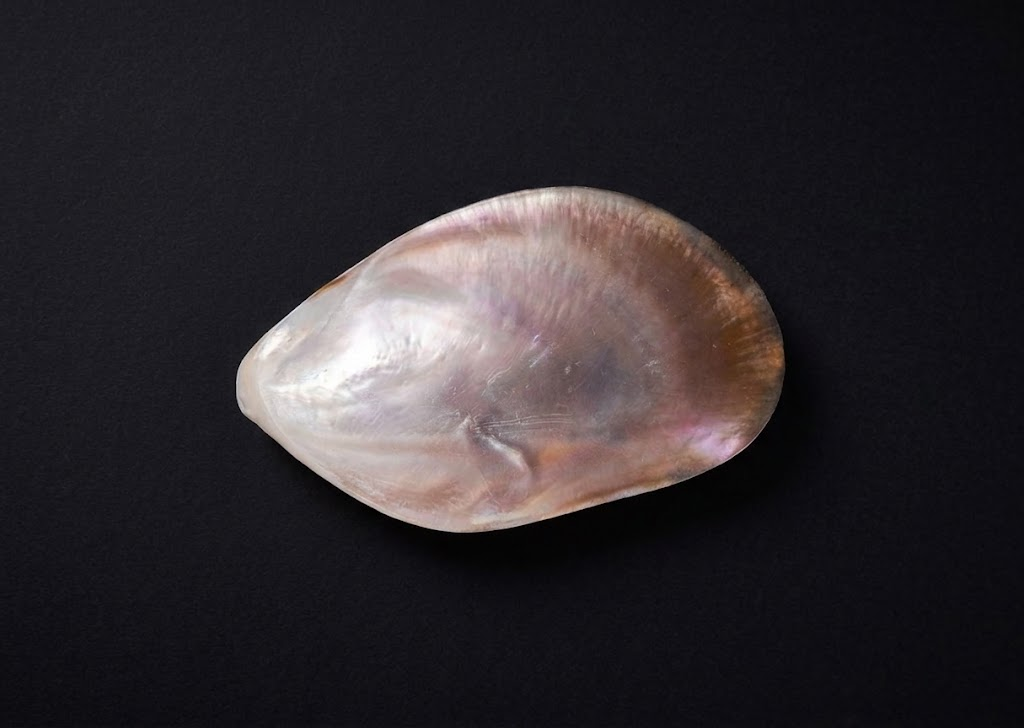 Mother of Pearl Caviar Spoons & Plates