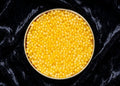Albino Sterlet Sturgeon Caviar