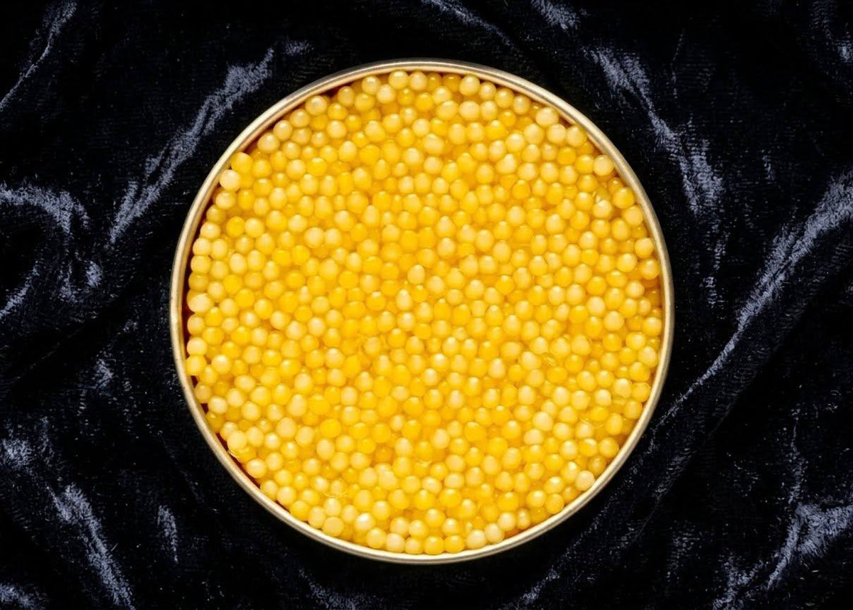 Albino Sterlet Sturgeon Caviar