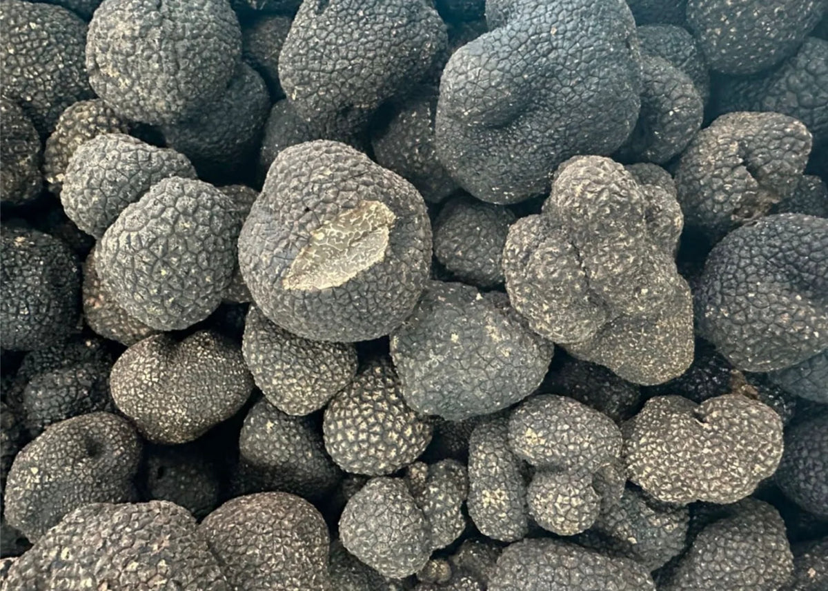 talian Fresh Black Truffle (Tuber Melanosporum) (per oz)