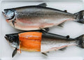 21-Day Dry-Aged Ora King Salmon