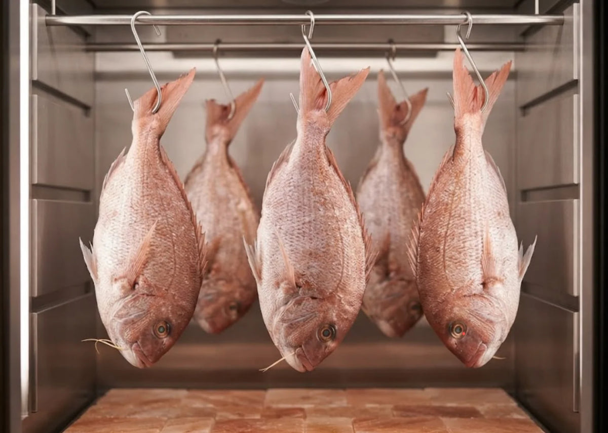 7-Day Dry-Aged Madai