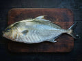 14-Day Dry-Aged Kanpachi