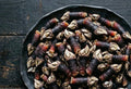 Percebes Gooseneck Barnacles (1 LB)