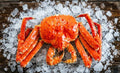 Jumbo Norwegian Red King Crab 6-8 or 9-10 LBS: Live or Cooked