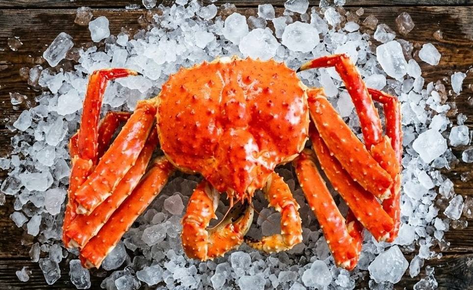 Jumbo Norwegian Red King Crab 6-8 or 9-10 LBS: Live or Cooked
