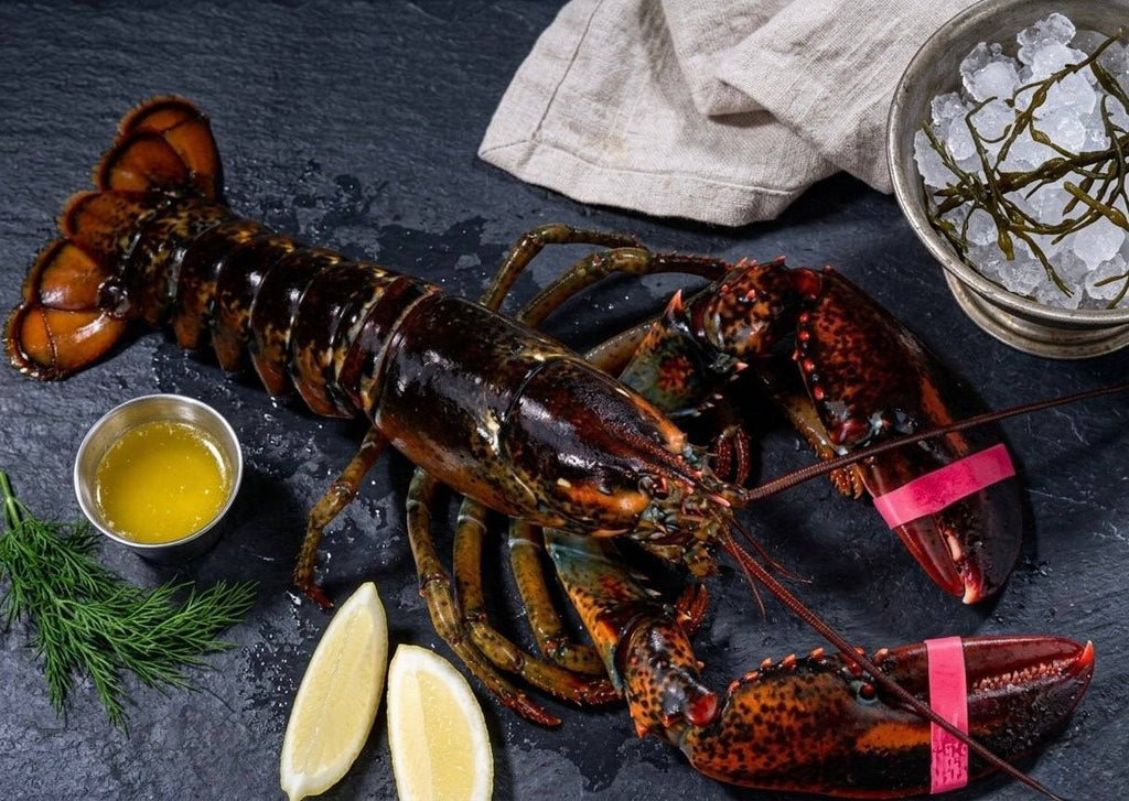 Freshly Caught Live or Cooked Maine Lobster FROM 2 PC