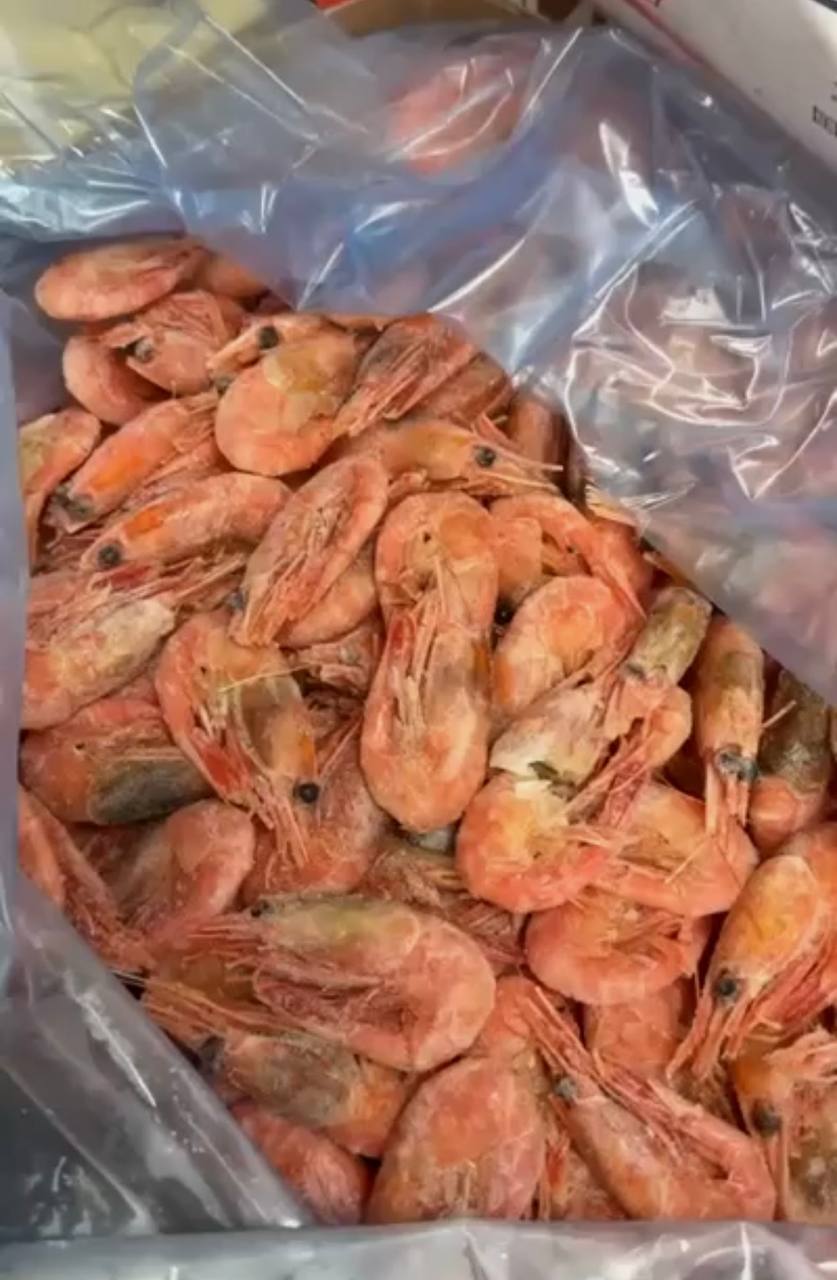 Frozen Murmansk Shrimp (2 lb Pack)