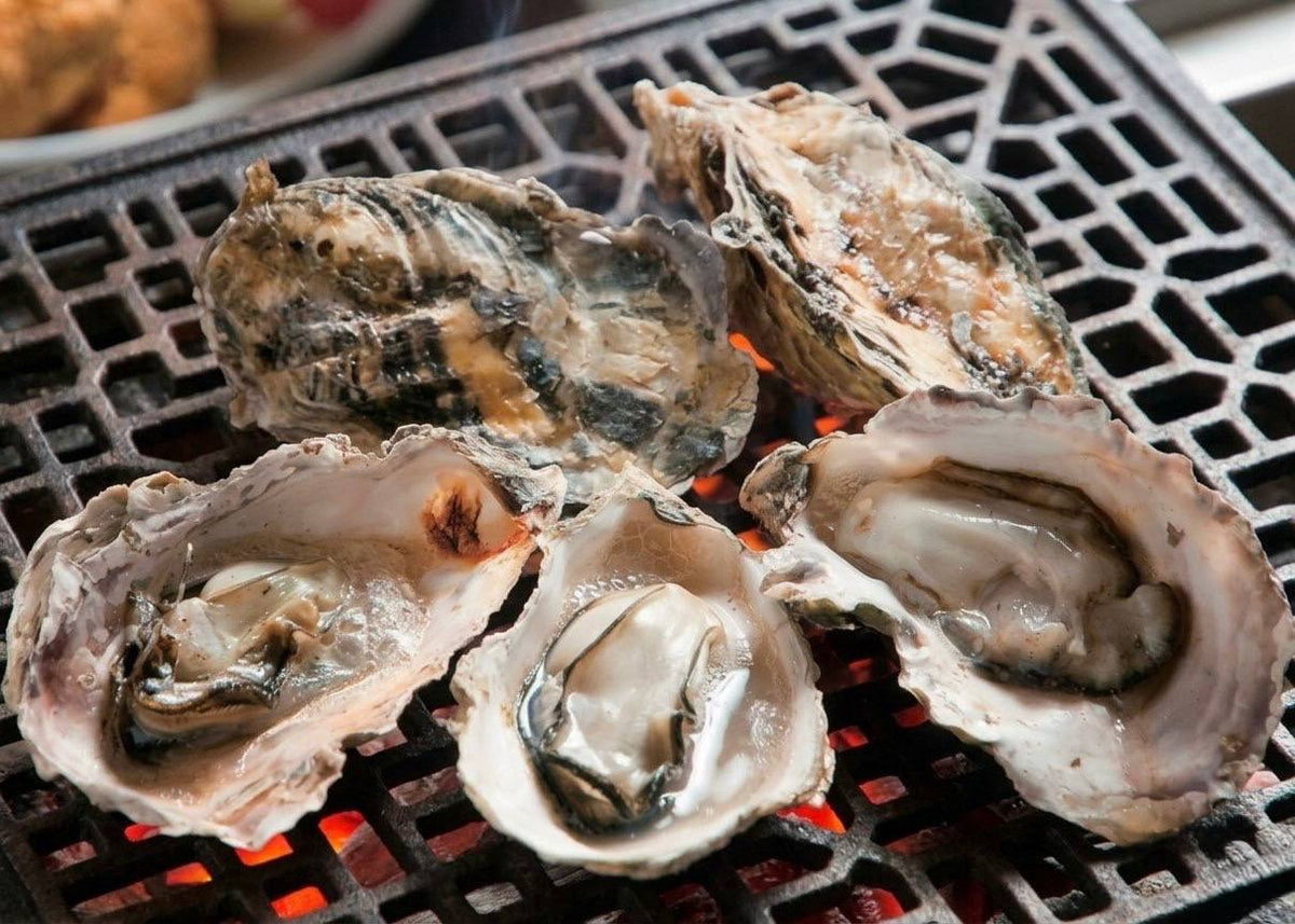 Live Oysters - Taylor Shellfish Selection