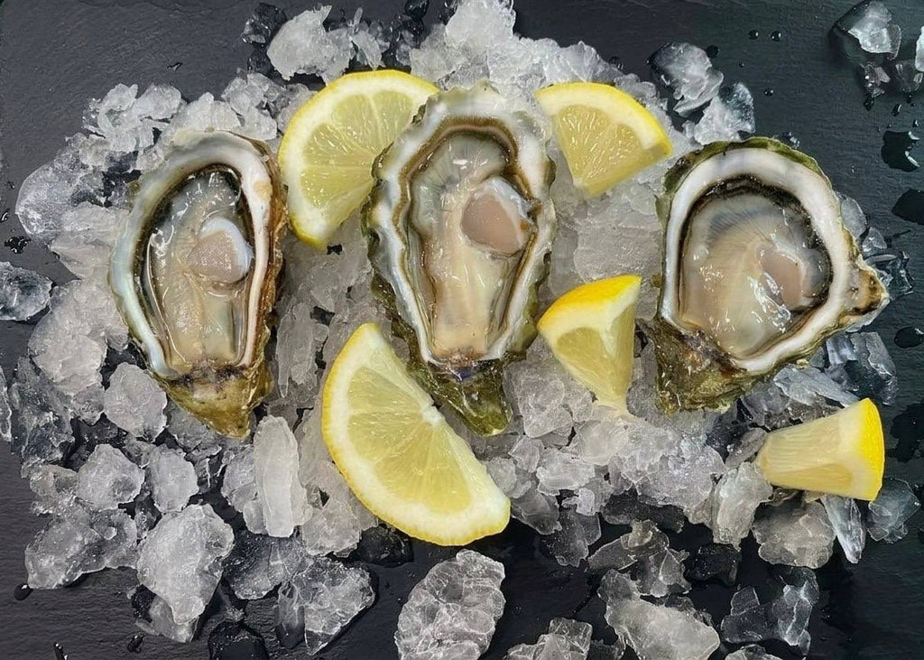 Live Oysters - Taylor Shellfish Selection