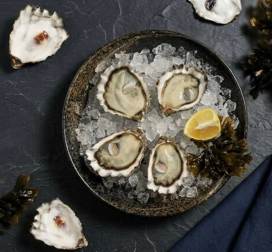 Live Oysters - Taylor Shellfish Selection
