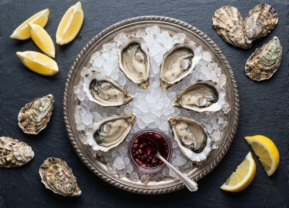 Live Oysters - Taylor Shellfish Selection